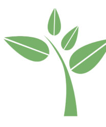 Den gröna kvisten från Stiftelsen Äldrecentrums logotyp.